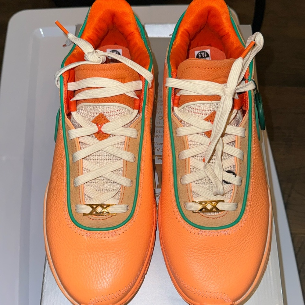 Lebron XX FAMU